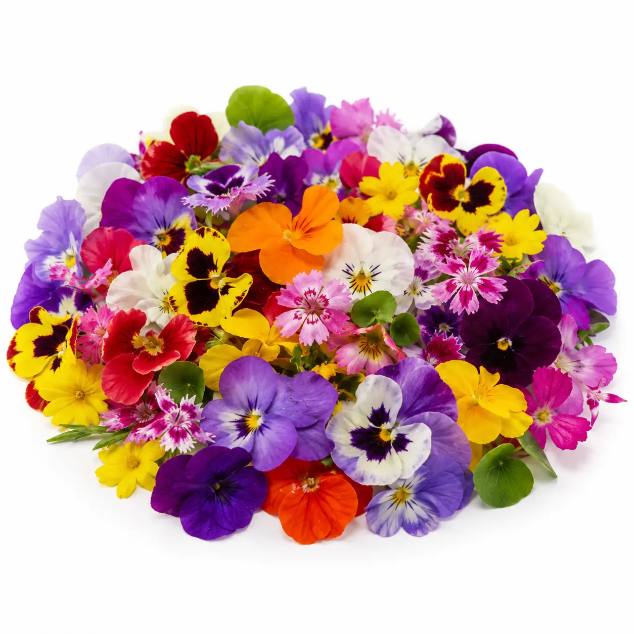 Fotografía de Flores comestibles 50 und