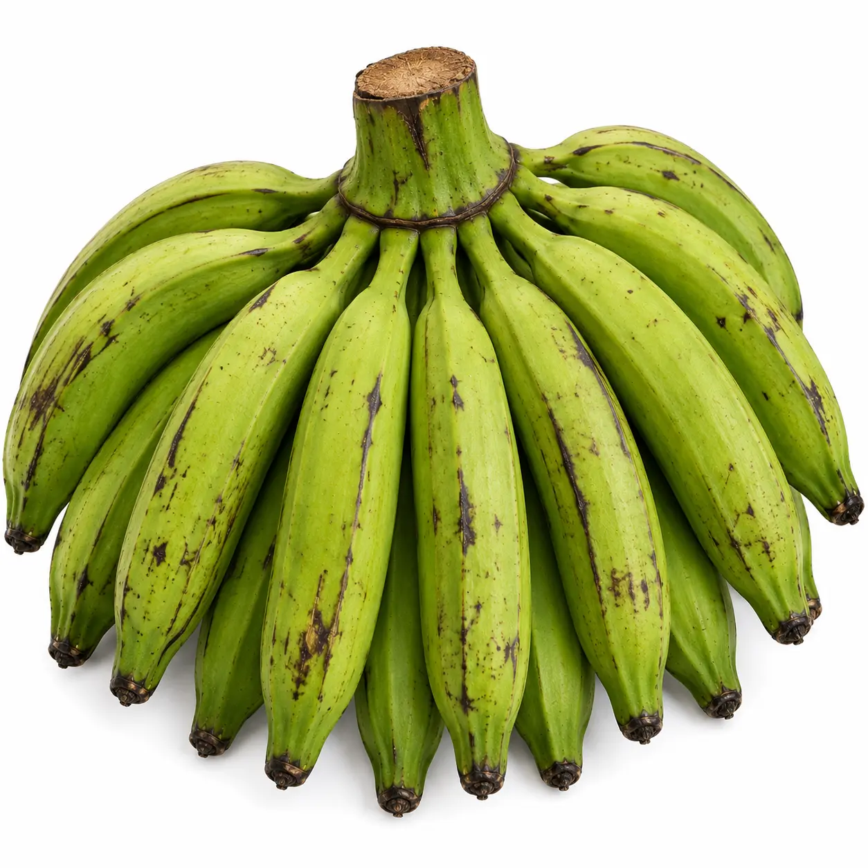 Fotografía de Plátano macho